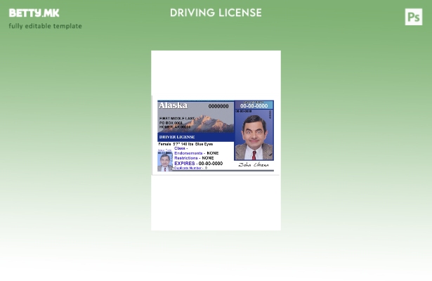 Модерен стил шаблон за верзија на возачка дозвола од Алјаска на САД (Предна стра